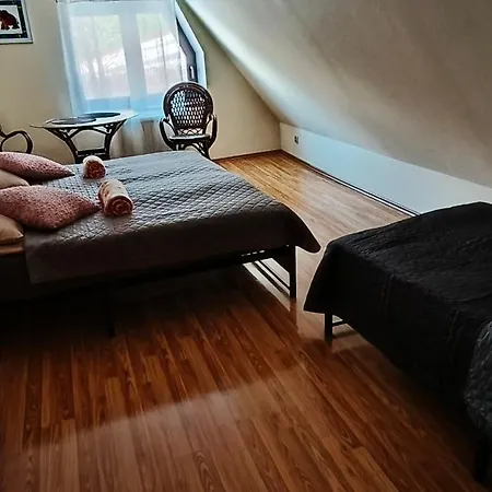 Pisary20 Dom W Masywie Snieznika Villa Pisary
