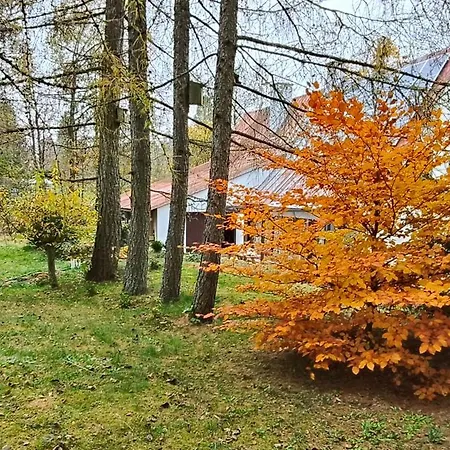 Pisary20 Dom W Masywie Snieznika Villa Pisary