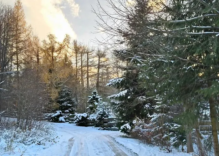 Villa Pisary20 Dom W Masywie Snieznika