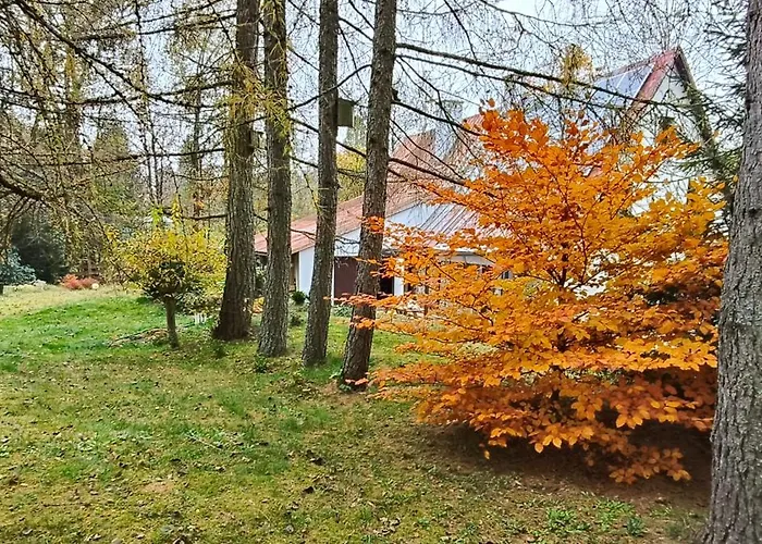 Pisary20 Dom W Masywie Snieznika Villa Pisary